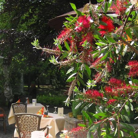 Landidyll Wilminks Parkhotel Neuenkirchen  エクステリア 写真