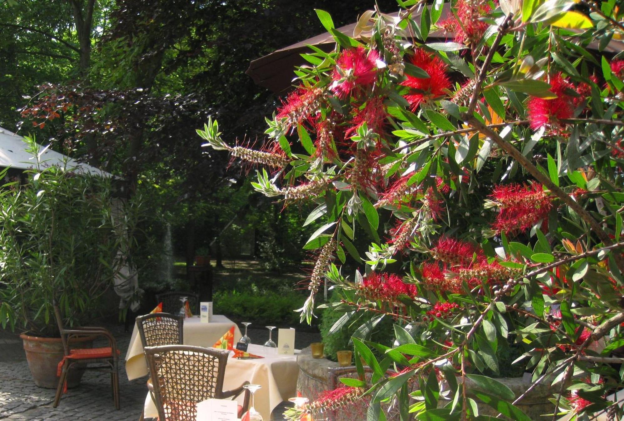 Landidyll Wilminks Parkhotel Neuenkirchen  エクステリア 写真